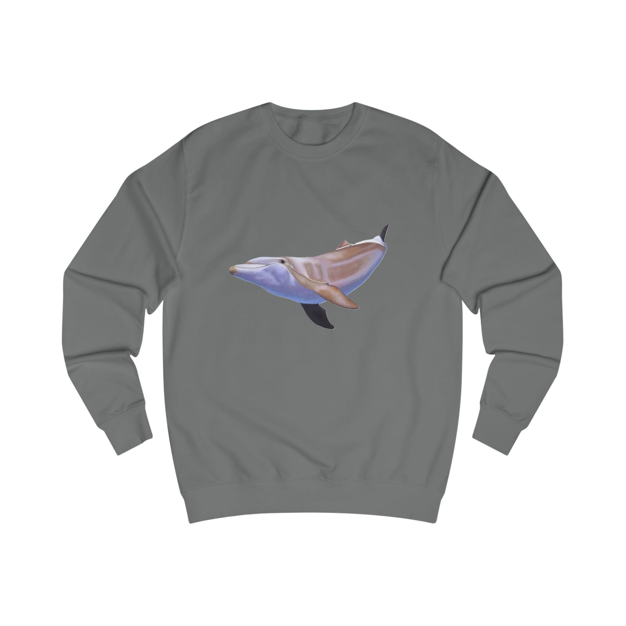 Dolphin Graphic Sweatshirt