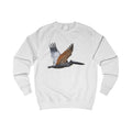 Coastal Brown Pelican Graphic Sweatshirt - Hand-Drawn Nautical Print