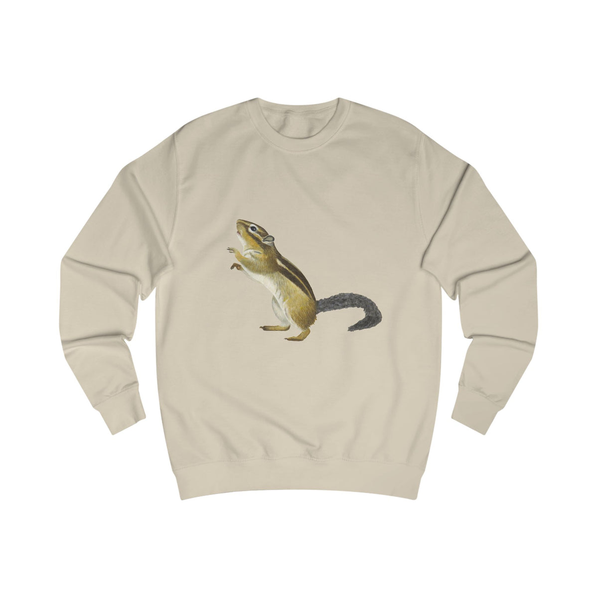 Woodland Chipmunk Graphic Sweatshirt - Hand-Drawn Nature Print