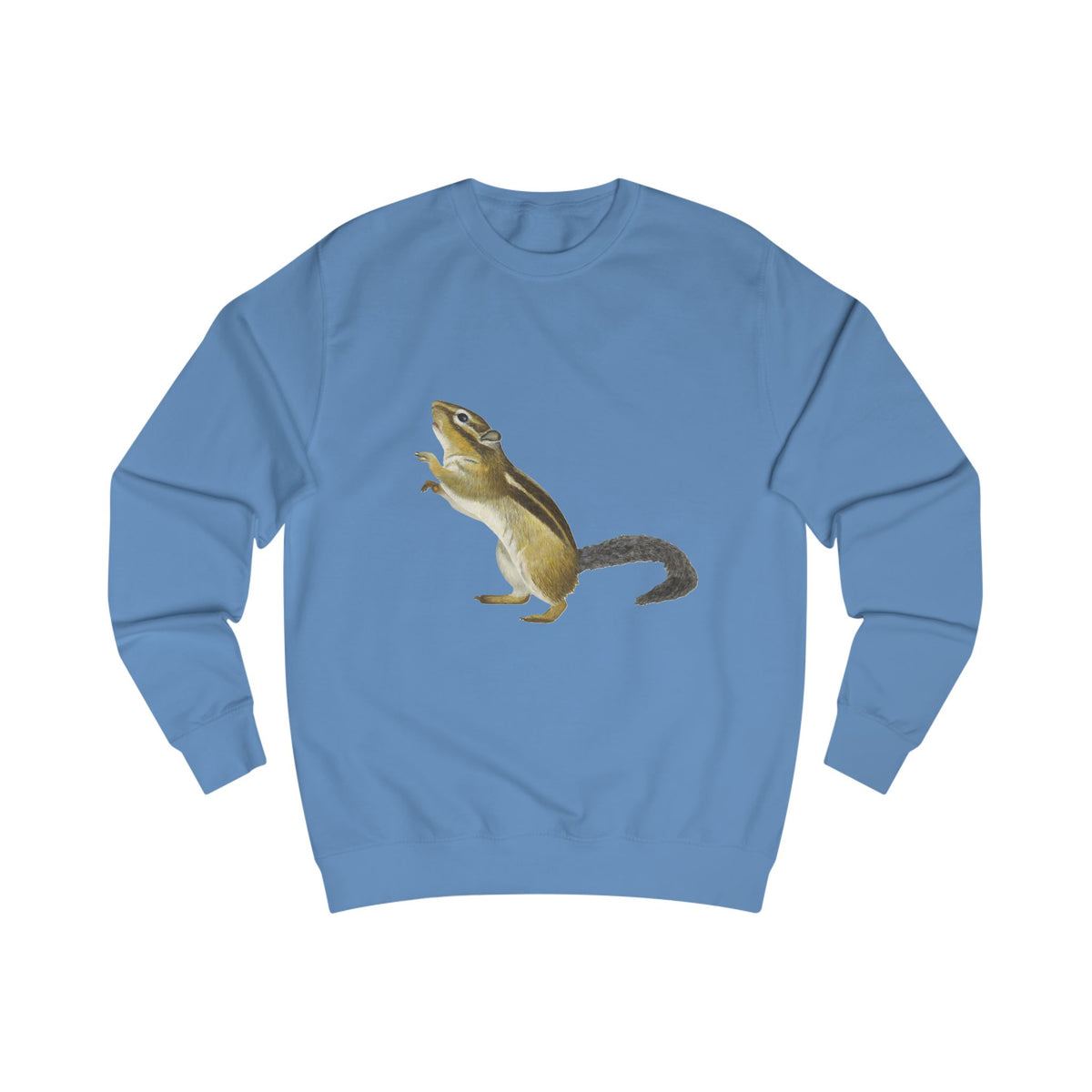 Woodland Chipmunk Graphic Sweatshirt - Hand-Drawn Nature Print