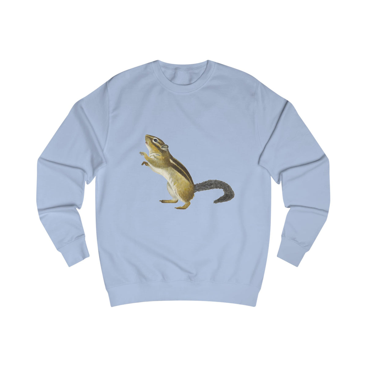 Woodland Chipmunk Graphic Sweatshirt - Hand-Drawn Nature Print