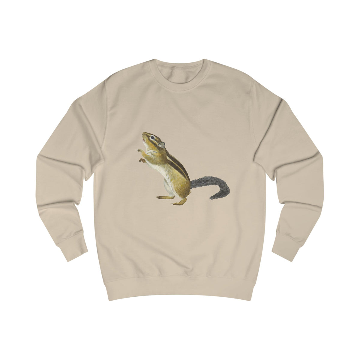 Woodland Chipmunk Graphic Sweatshirt - Hand-Drawn Nature Print