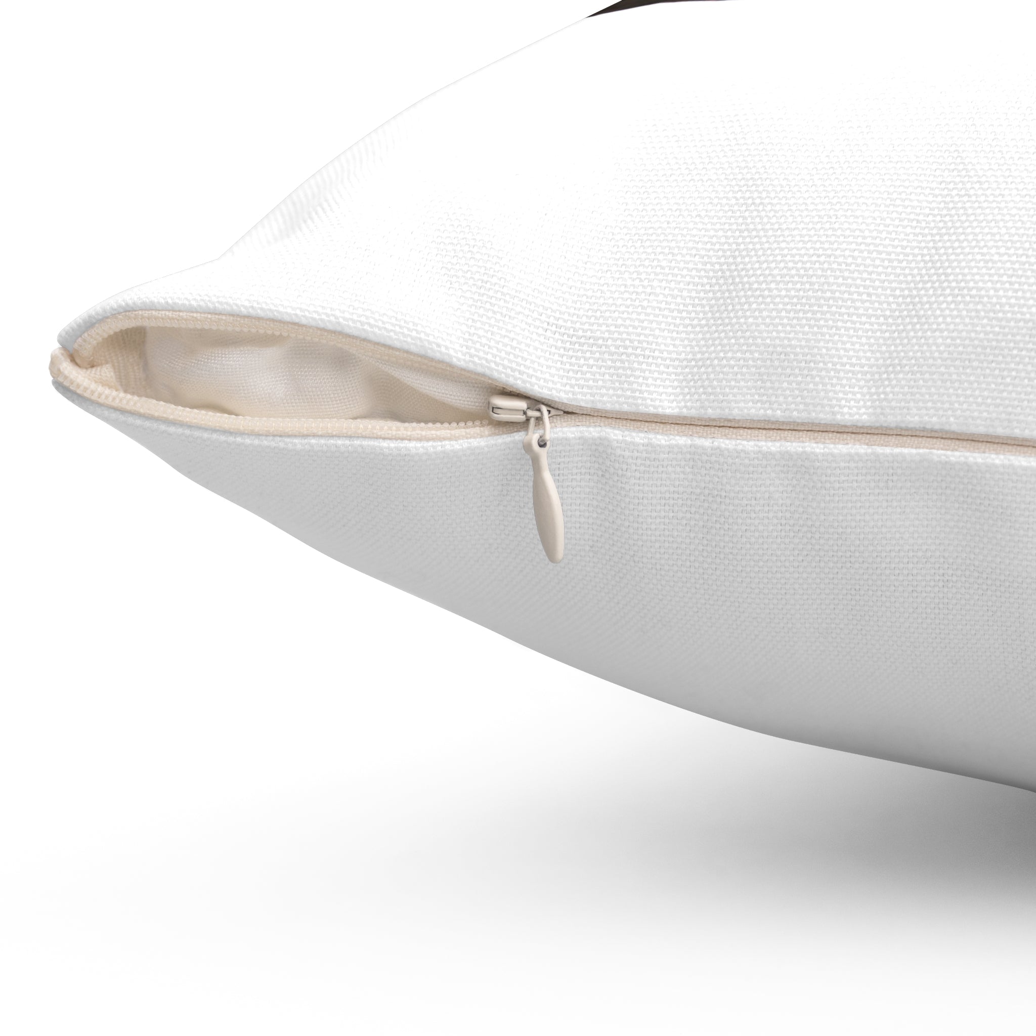 Brown Pelican Throw Pillow