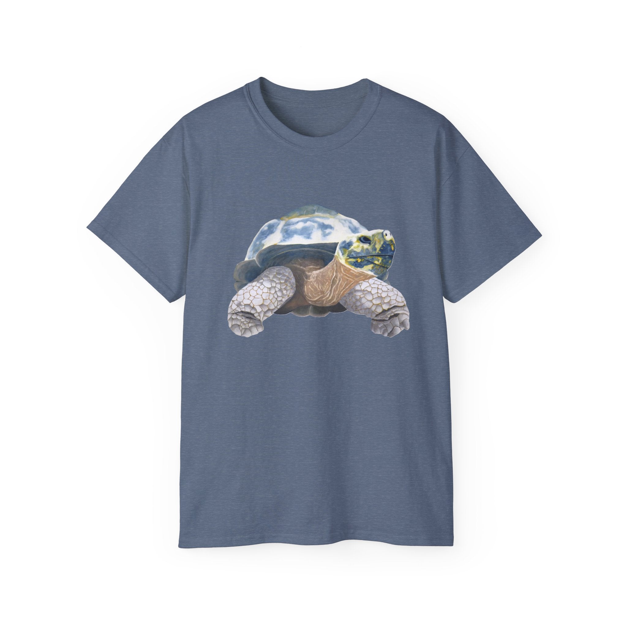 Galapagos Tortoise Graphic Tee