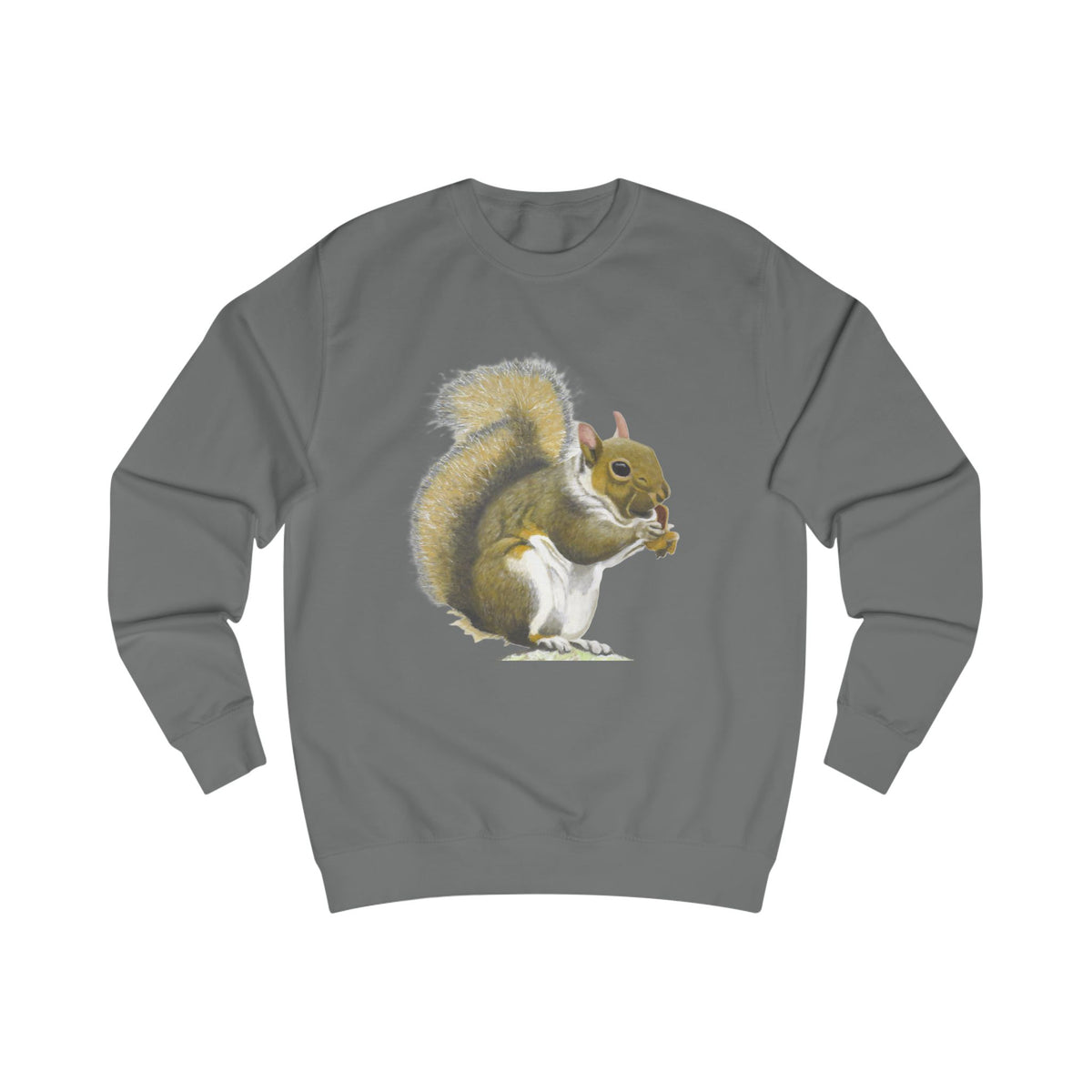 Woodland Squirrel Graphic Sweatshirt - Vintage Wildlife Art Print