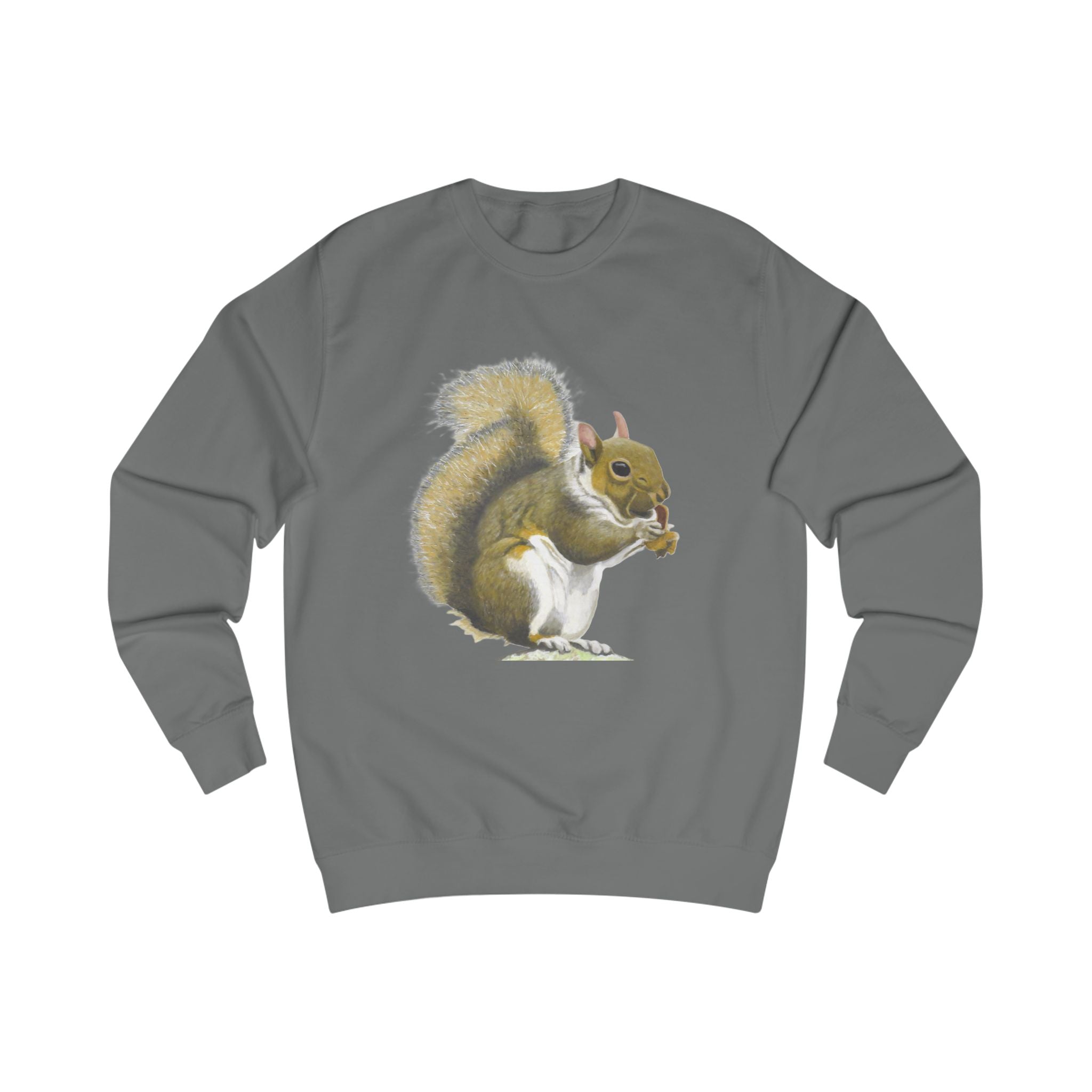 Squirrel Graphic Sweatshirt