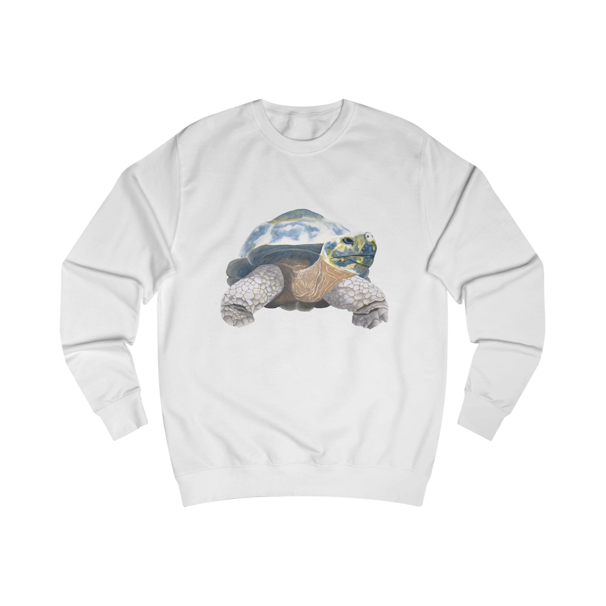 Galapagos Tortoise Graphic Sweatshirt
