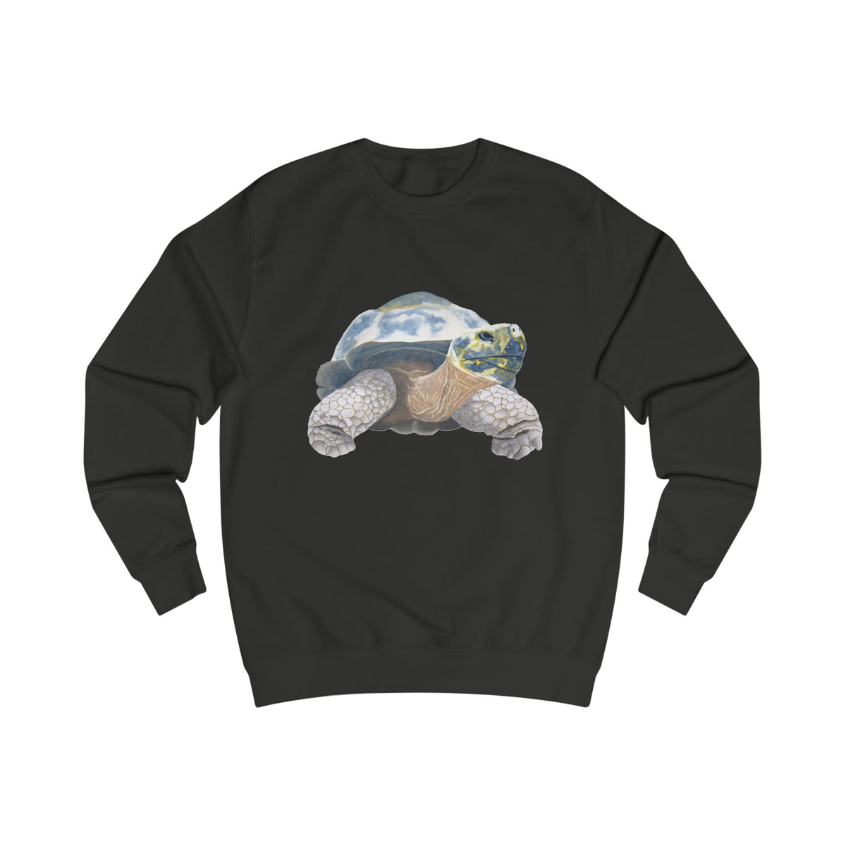 Ancient Tortoise Graphic Sweatshirt - Hand-Drawn Heritage Nature Print