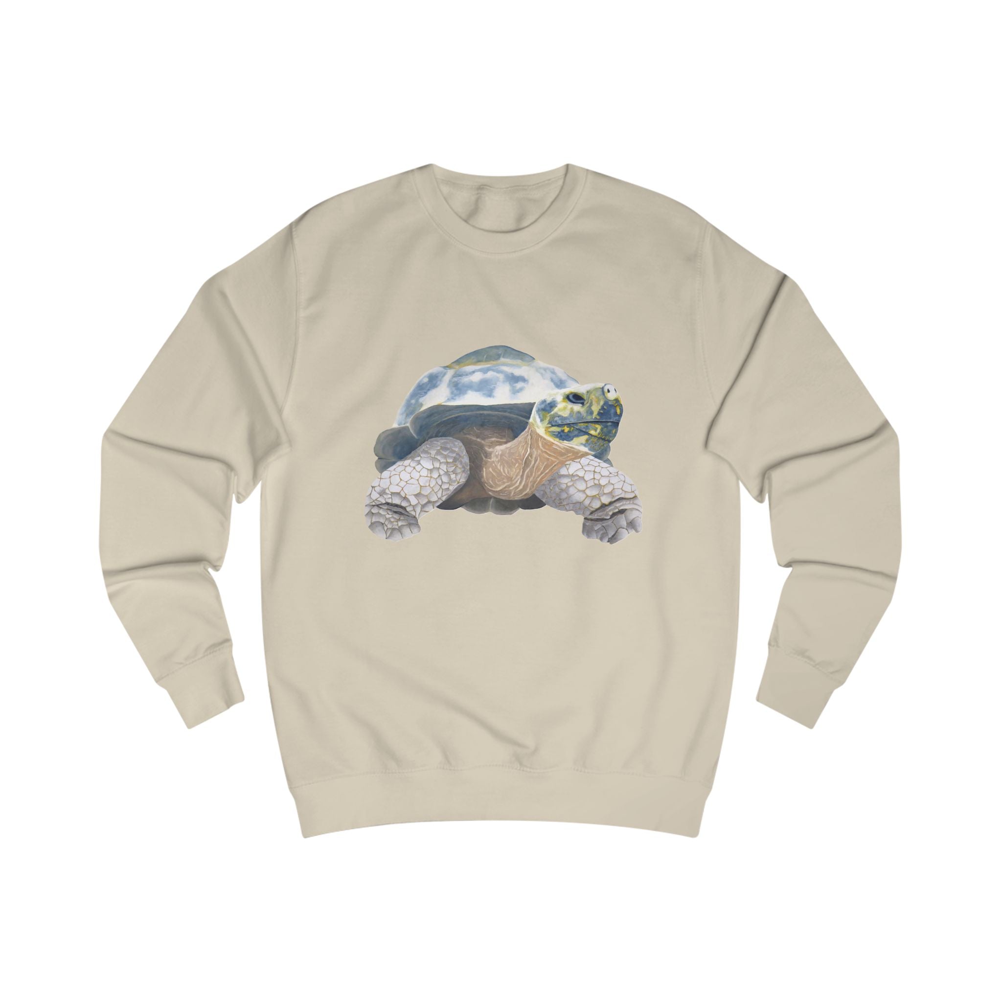 Galapagos Tortoise Graphic Sweatshirt